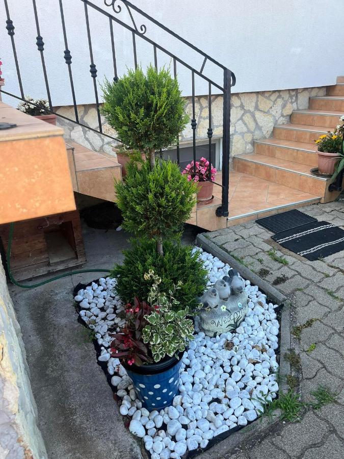 Rege Apartman 2 อัลโชเอิร์ช ภายนอก รูปภาพ